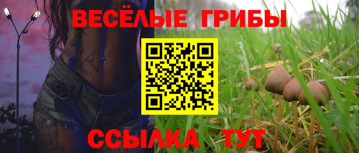 Галлюциногенные грибы ЛСД  Вход с VPN  Вышний Волочёк 